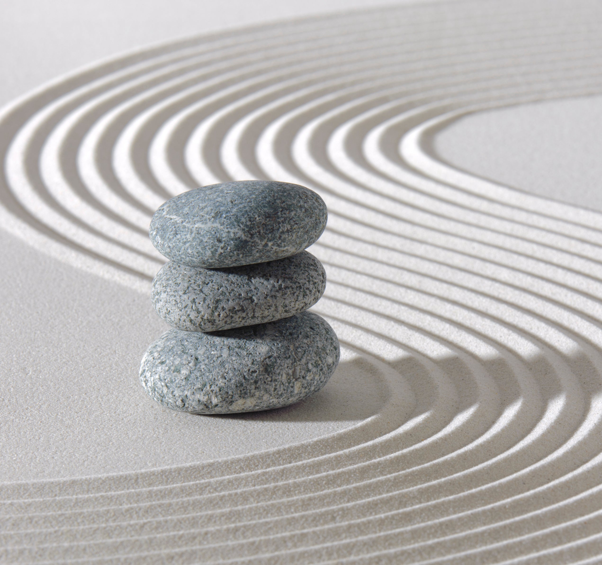 BUILDING BLOCKS OF HEALTH