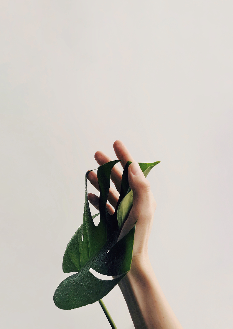 Nature Inspired OVO MD